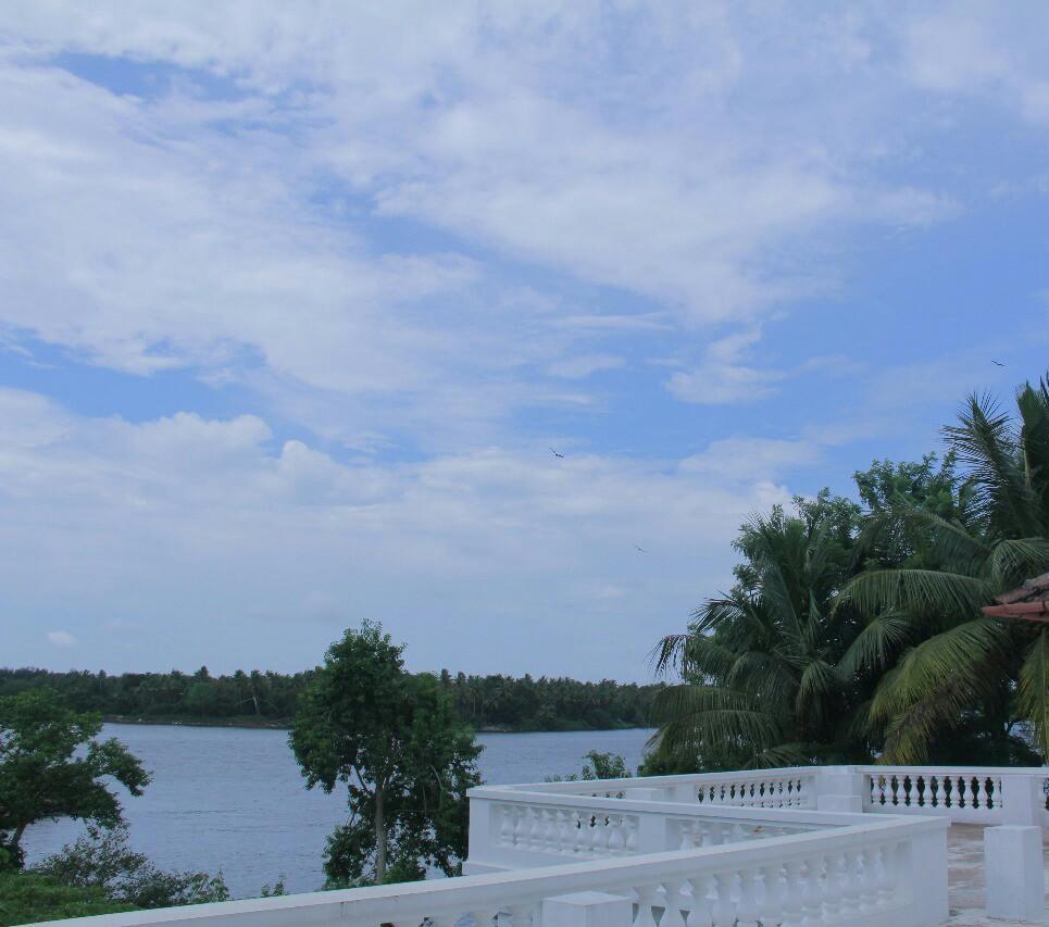 Muziris Harbour View Hotell Kochi Eksteriør bilde